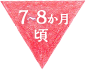7～8か月頃