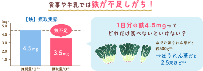 【鉄】摂取実態 食事や牛乳では鉄が不足しがち！1日分(fēn)の鉄4.5mgってどれだけ食べないといけない？ ゆでたほうれん草(cǎo)だと約500g※3 →ほうれん草(cǎo)だと 2.5束ほど※4