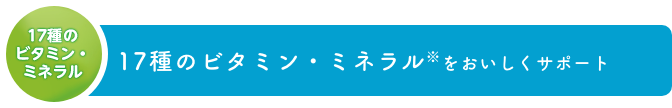 17種のビタミン・ミネラル 17種のビタミン・ミネラル※をおいしくサポート