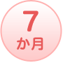 7か月